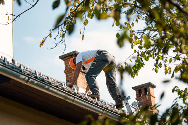 Best Commercial Roofing Services  in Helena, MT